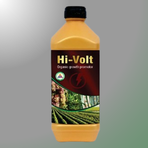 HI VOLT