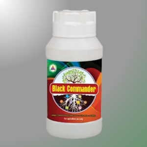 BLACK COMMANDER