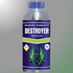 DESTROYER