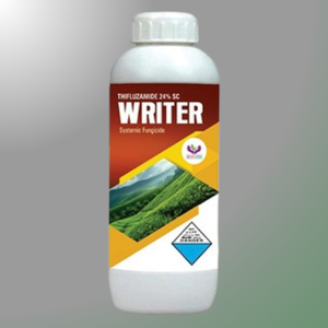 WRITER