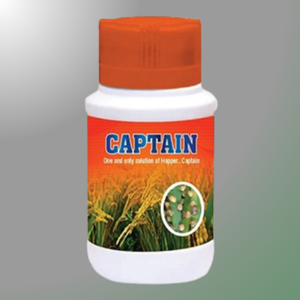 CAPTAIN