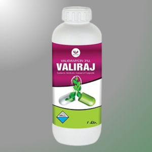 VALIRAJ