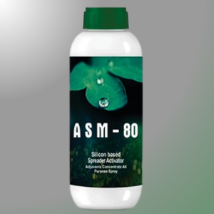 ASM-80