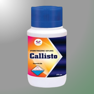 CALISTO