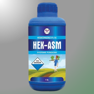 HEXA ASM
