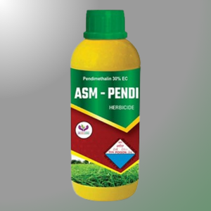 ASM PENDI