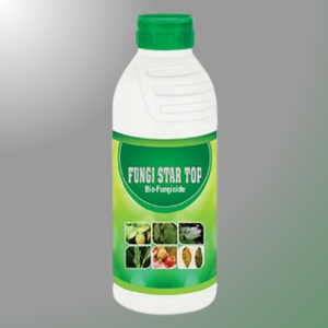 FUNGI STAR TOP