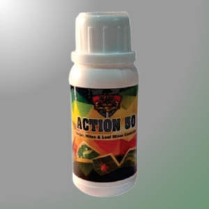 ACTION 50