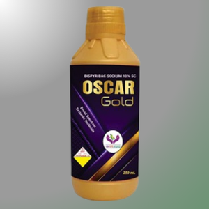 OSCAR GOLD