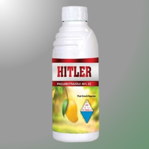HITLER