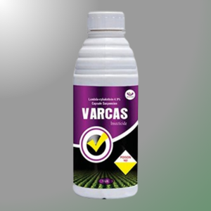 VARCAS