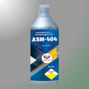 ASM 404